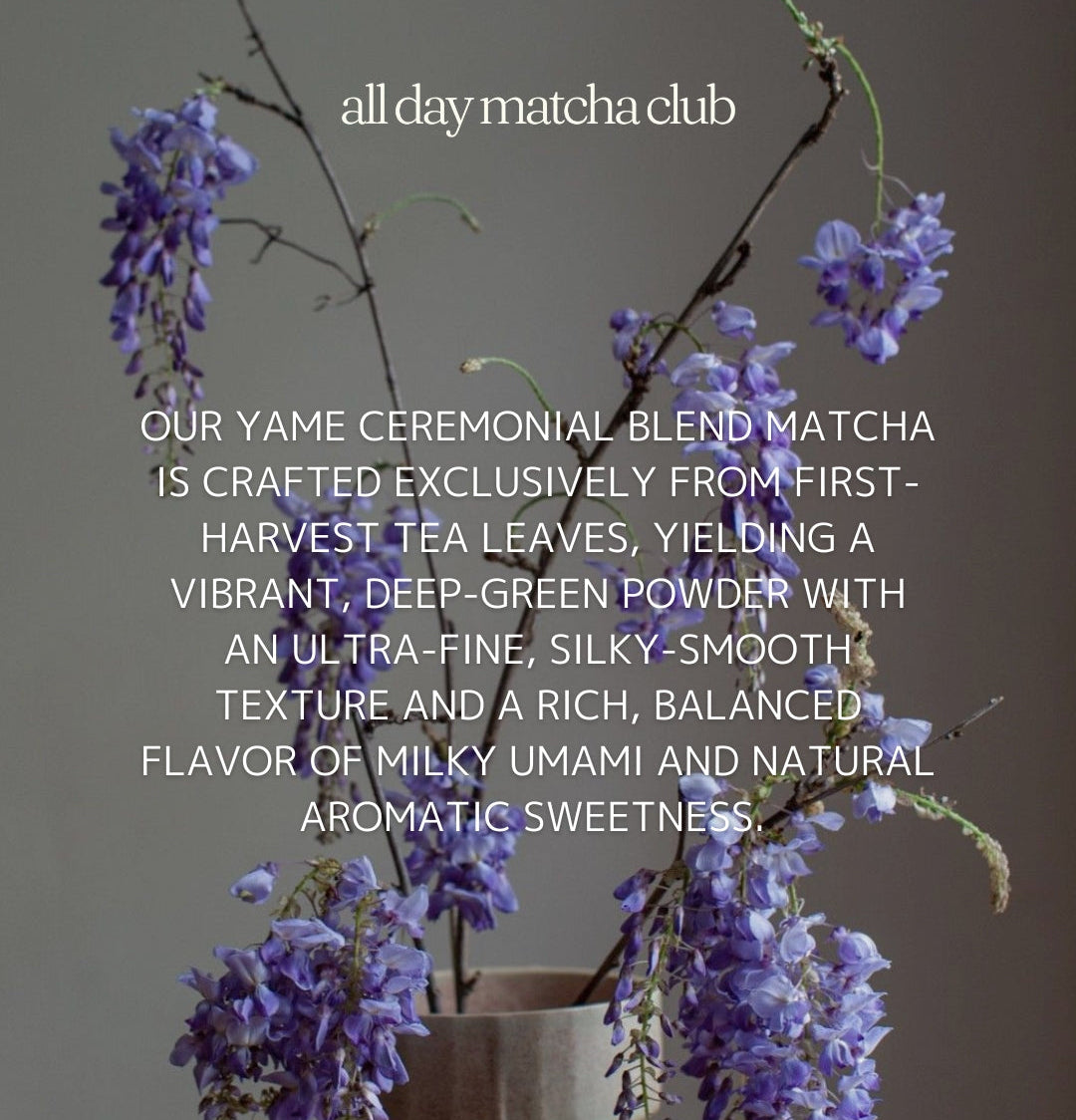 YAME Ceremonial Blend Matcha