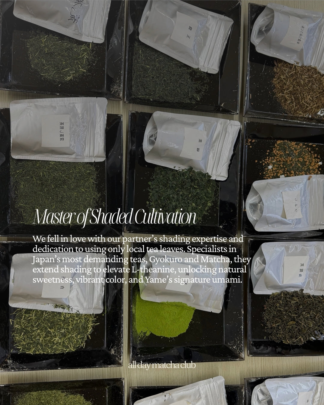 YAME Ceremonial Blend Matcha